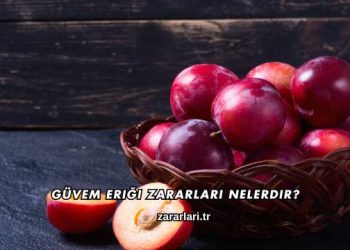 Güvem Eriği Zararları Nelerdir?