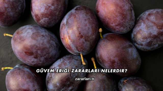 Güvem Eriği Zararları Nelerdir?