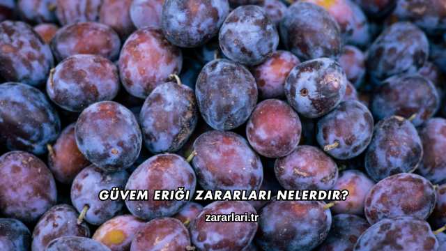 Güvem Eriği Zararları Nelerdir?