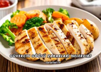Güvercin Göğsü Zararları Nelerdir?
