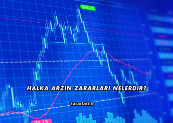 Halka Arzın Zararları Nelerdir?