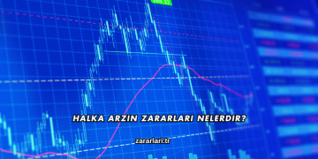 Halka Arzın Zararları Nelerdir?