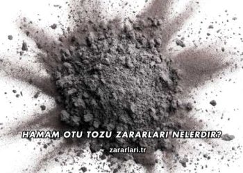 Hamam Otu Tozu Zararları Nelerdir?