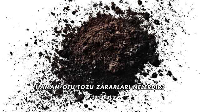 Hamam Otu Tozu Zararları Nelerdir?