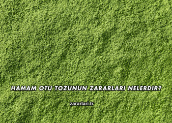 Hamam Otu Tozunun Zararları Nelerdir?