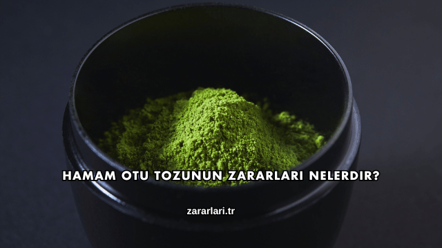 Hamam Otu Tozunun Zararları Nelerdir?