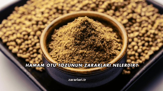 Hamam Otu Tozunun Zararları Nelerdir?