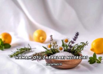 Hamam Otu Zararları Nelerdir?