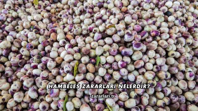 Hambeles Zararları Nelerdir?