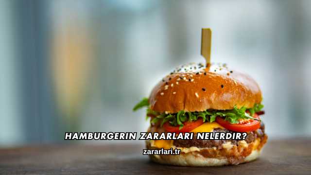Hamburgerin Zararları Nelerdir?