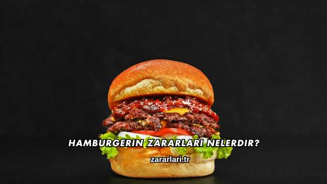 Hamburgerin Zararları Nelerdir?