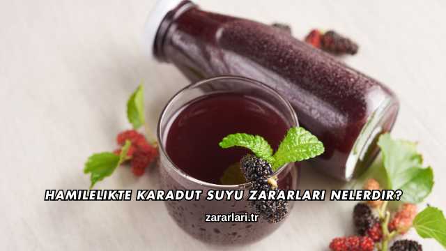 Hamilelikte Karadut Suyu Zararları Nelerdir?