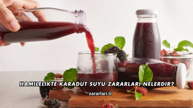 Hamilelikte Karadut Suyu Zararları Nelerdir?