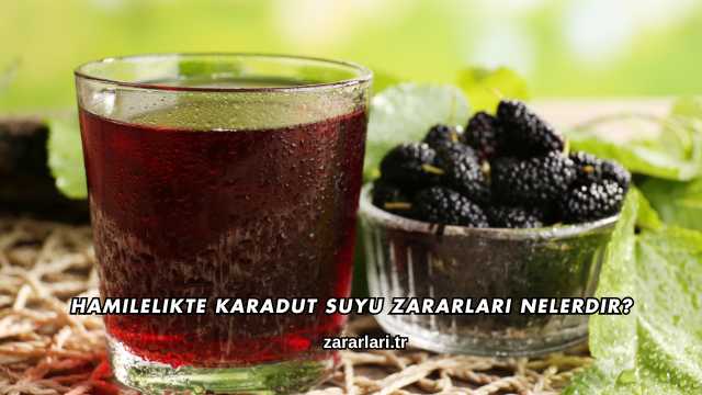 Hamilelikte Karadut Suyu Zararları Nelerdir?