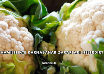 Hamilelikte Karnabahar Zararları Nelerdir?