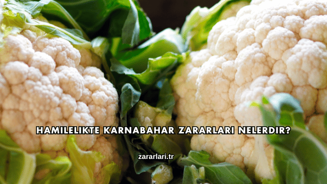 Hamilelikte Karnabahar Zararları Nelerdir?