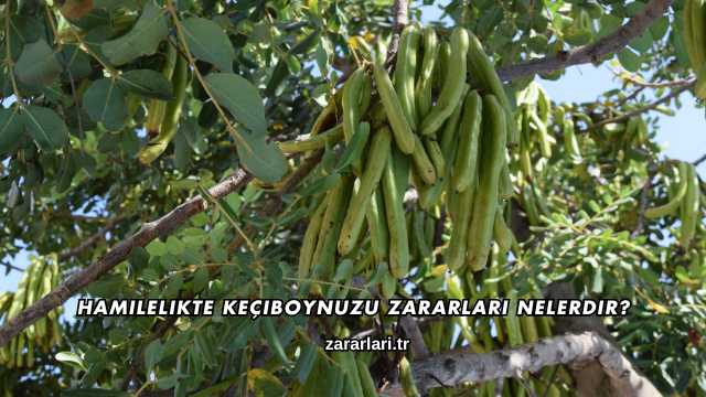 Hamilelikte Keçiboynuzu Zararları Nelerdir?