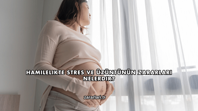 Hamilelikte Stres ve Üzüntünün Zararları Nelerdir?