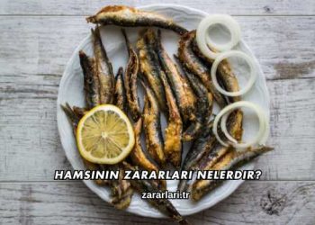Hamsinin Zararları Nelerdir?