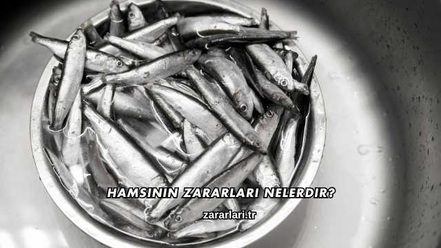 Hamsinin Zararları Nelerdir?
