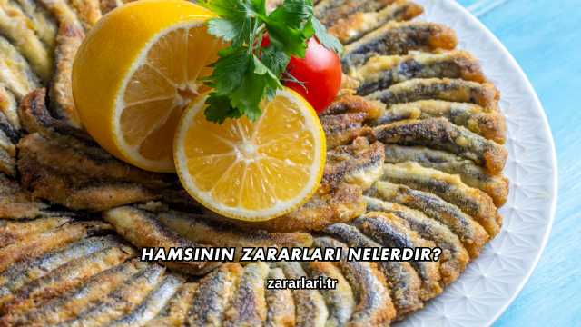 Hamsinin Zararları Nelerdir?