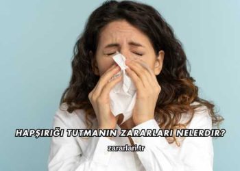 Hapşırığı Tutmanın Zararları Nelerdir?