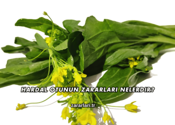 Hardal Otunun Zararları Nelerdir?