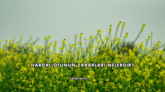Hardal Otunun Zararları Nelerdir?