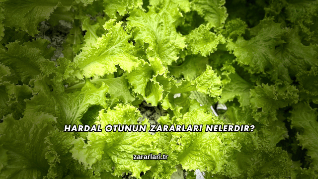 Hardal Otunun Zararları Nelerdir?