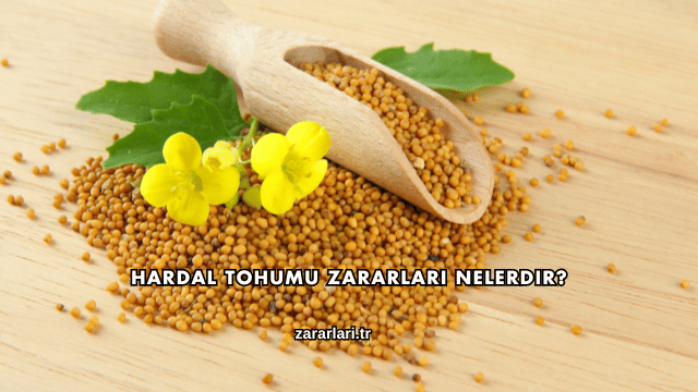 Hardal Tohumu Zararları Nelerdir?