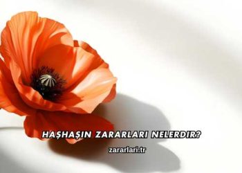 Haşhaşın Zararları Nelerdir?