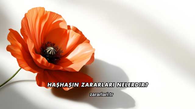 Haşhaşın Zararları Nelerdir?