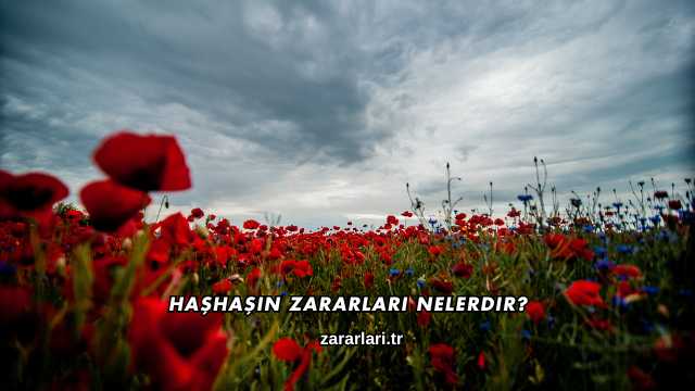 Haşhaşın Zararları Nelerdir?