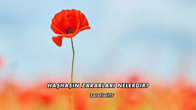 Haşhaşın Zararları Nelerdir?
