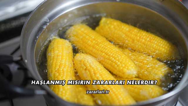 Haşlanmış Mısırın Zararları Nelerdir?