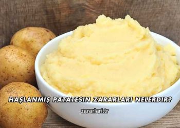 Haşlanmış Patatesin Zararları Nelerdir?