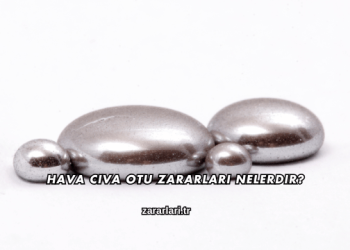 Hava Civa Otu Zararları Nelerdir?