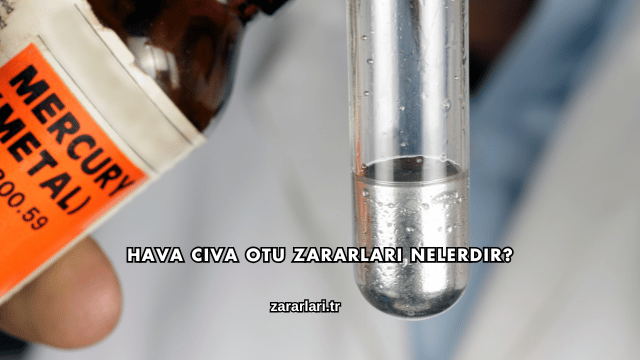 Hava Civa Otu Zararları Nelerdir?