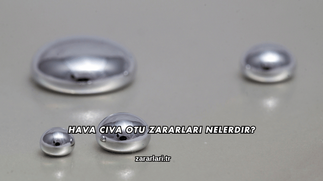 Hava Civa Otu Zararları Nelerdir?