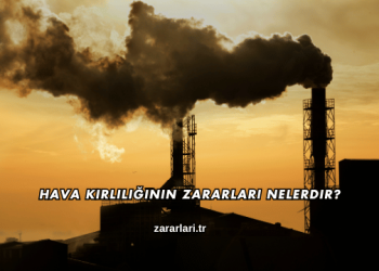 Hava Kirliliğinin Zararları Nelerdir?