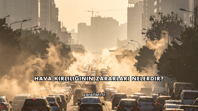 Hava Kirliliğinin Zararları Nelerdir?