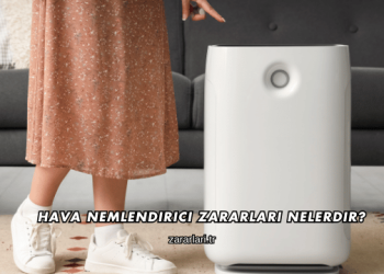 Hava Nemlendirici Zararları Nelerdir?