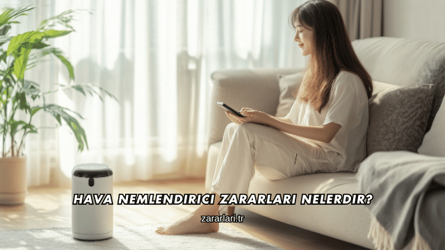 Hava Nemlendirici Zararları Nelerdir?