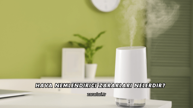 Hava Nemlendirici Zararları Nelerdir?