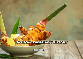 Havlıcan Zararları Nelerdir?