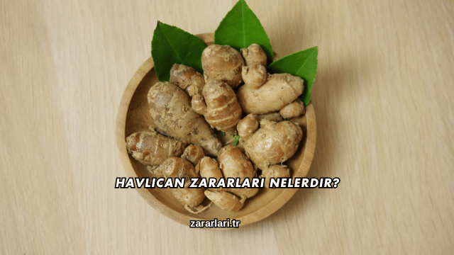 Havlıcan Zararları Nelerdir?