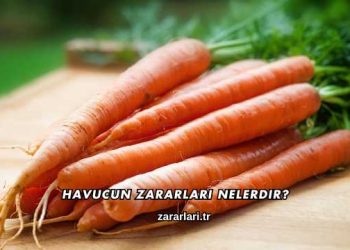 Havucun Zararları Nelerdir?