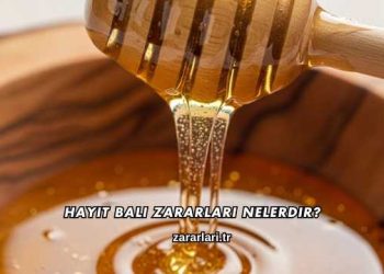 Hayıt Balı Zararları Nelerdir?