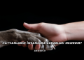Hayvanların İnsanlara Zararları Nelerdir?