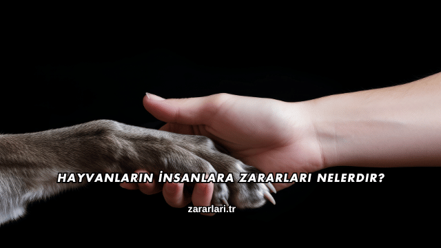 Hayvanların İnsanlara Zararları Nelerdir?
